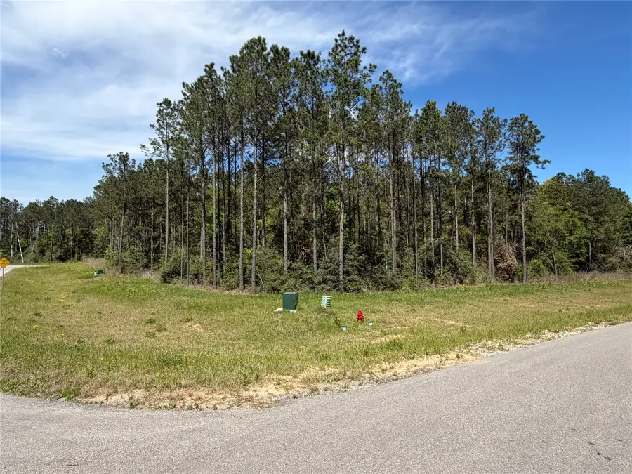 15648 Cricket Creek Court, Willis, TX 77378 - #2