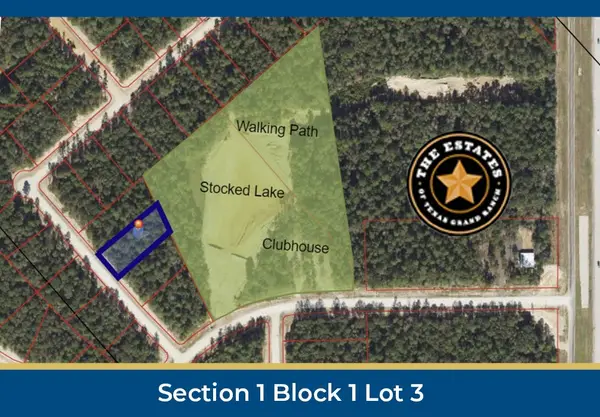 126 Hollow Hill Drive, New Waverly, TX 77358