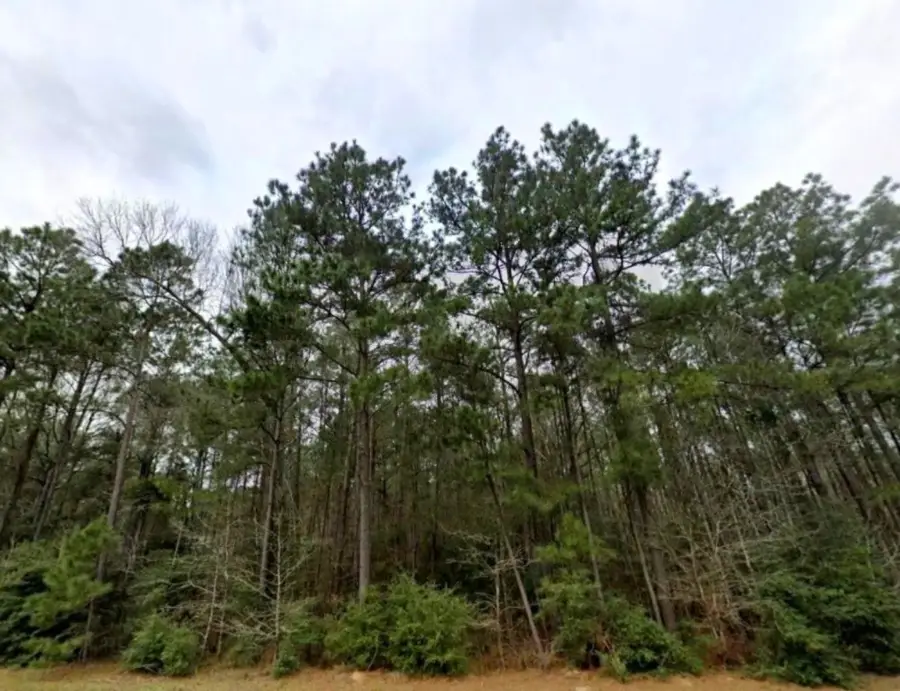 126 Hollow Hill Drive, New Waverly, TX 77358 - Image #3