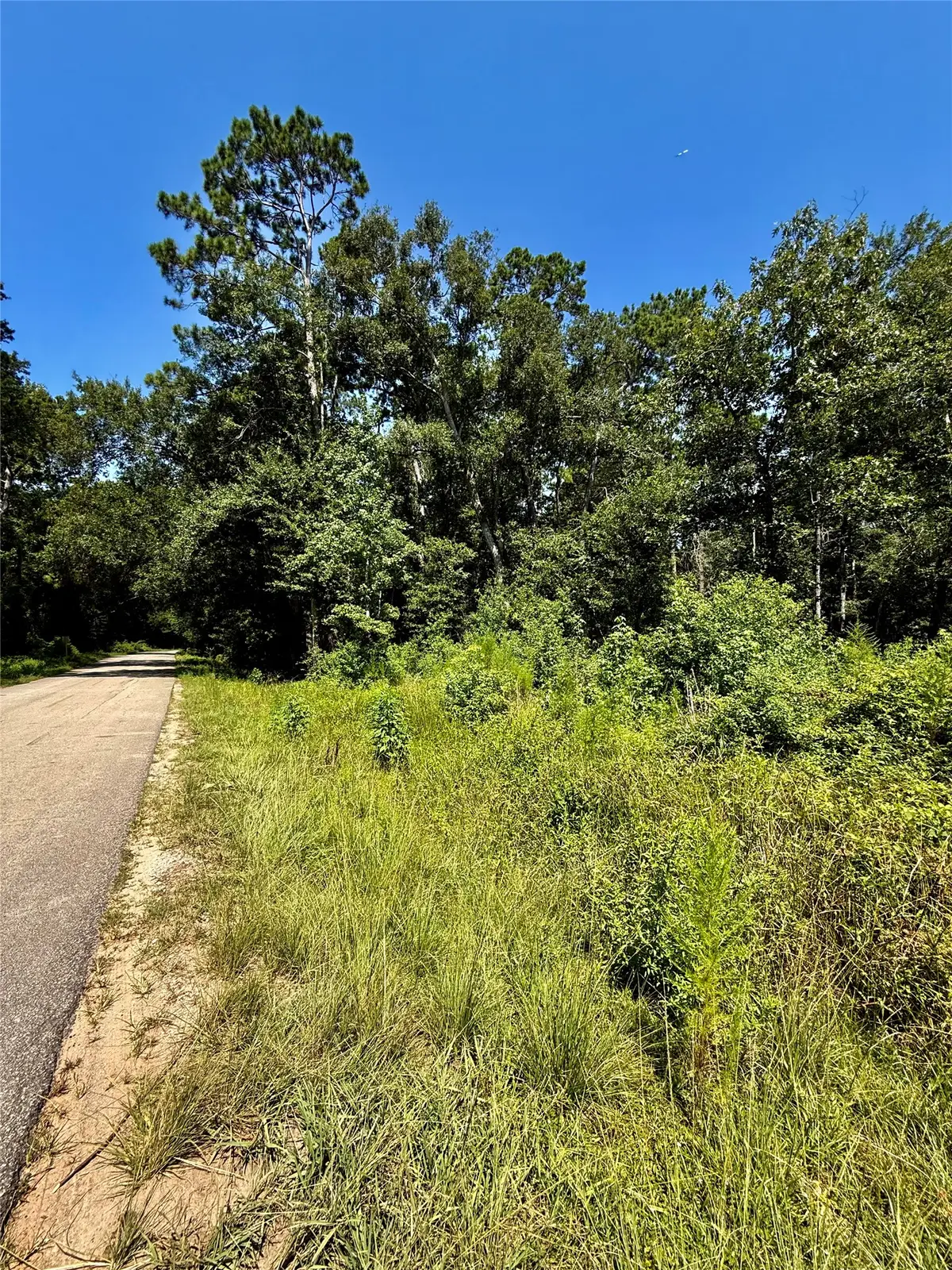 TBD Lot 6 Rolling Hills Drive, Porter, TX 77365 - #1