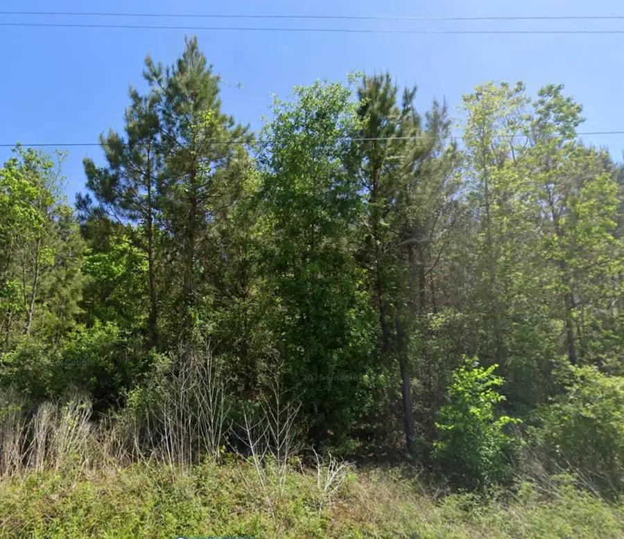 0 Duff Road, Livingston, TX 77351 - #3