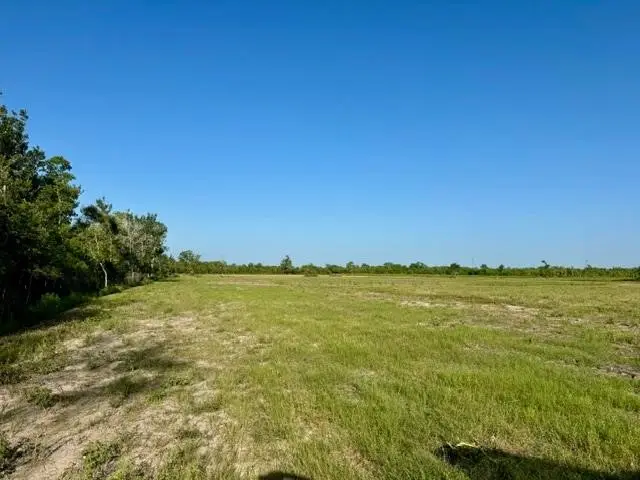000 Fm 1462, Rosharon, TX 77583 - #1
