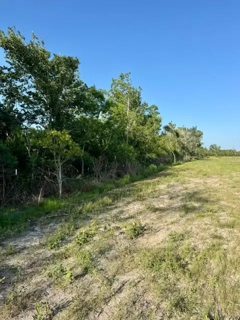 000 Fm 1462, Rosharon, TX 77583 - #3