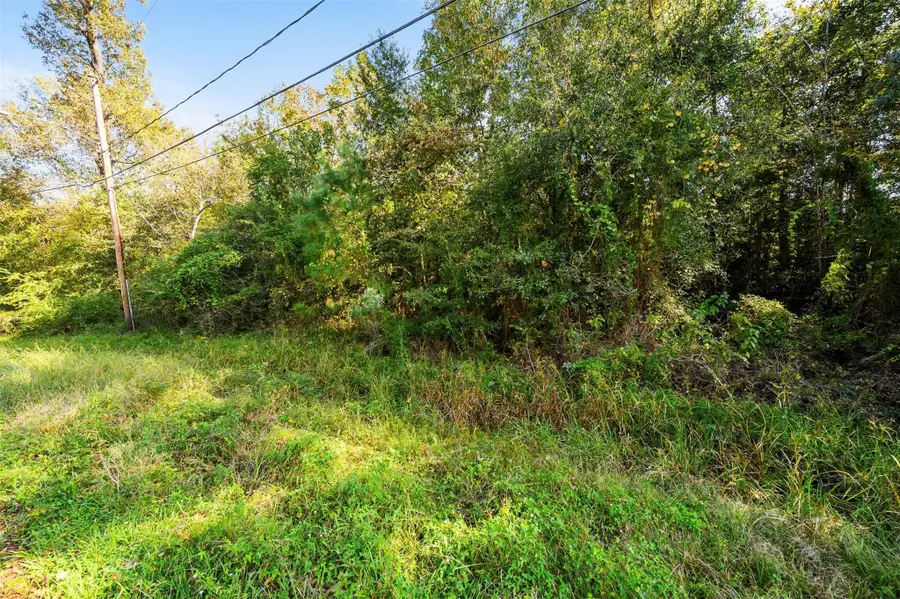 0 Red Fox Drive, Houston, TX 77532 - #3