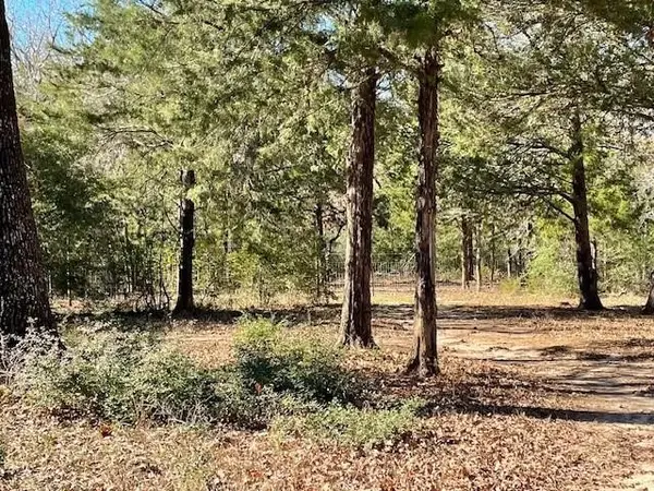 00 Cr 421, Buffalo, TX 75831