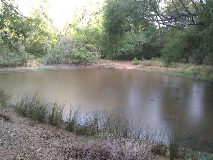 00 Cr 421, Buffalo, TX 75831 - #2