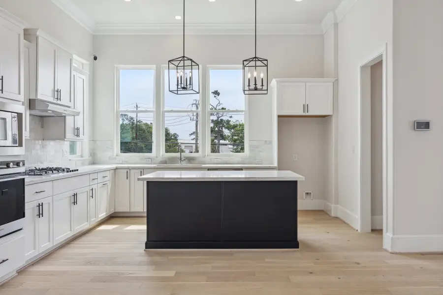 1004 Golden Nectar Lane, Houston, TX 77008 - #2