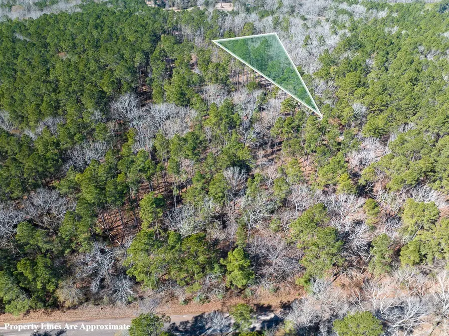 TBD O'quinn Road, Pollok, TX 75969 - #3