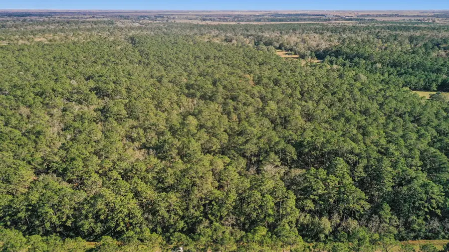 TBD 2 Highway 61, Hankamer, TX 77562 - Image #2