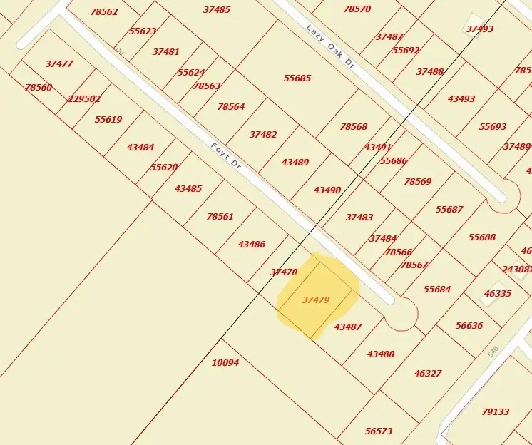 TBD Foyt Drive, Livingston, TX 77351 - #3