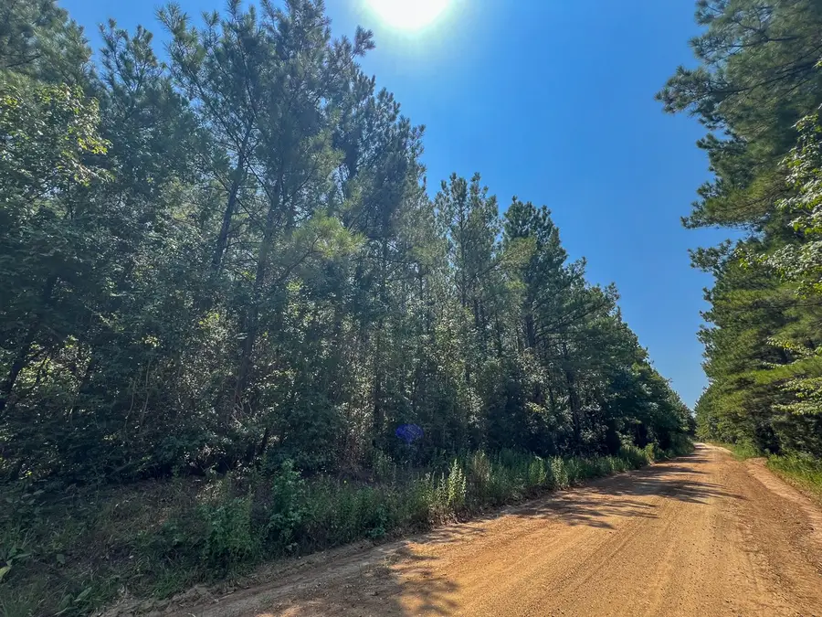 5 County Road 3230, Colmesneil, TX 75938 - #3