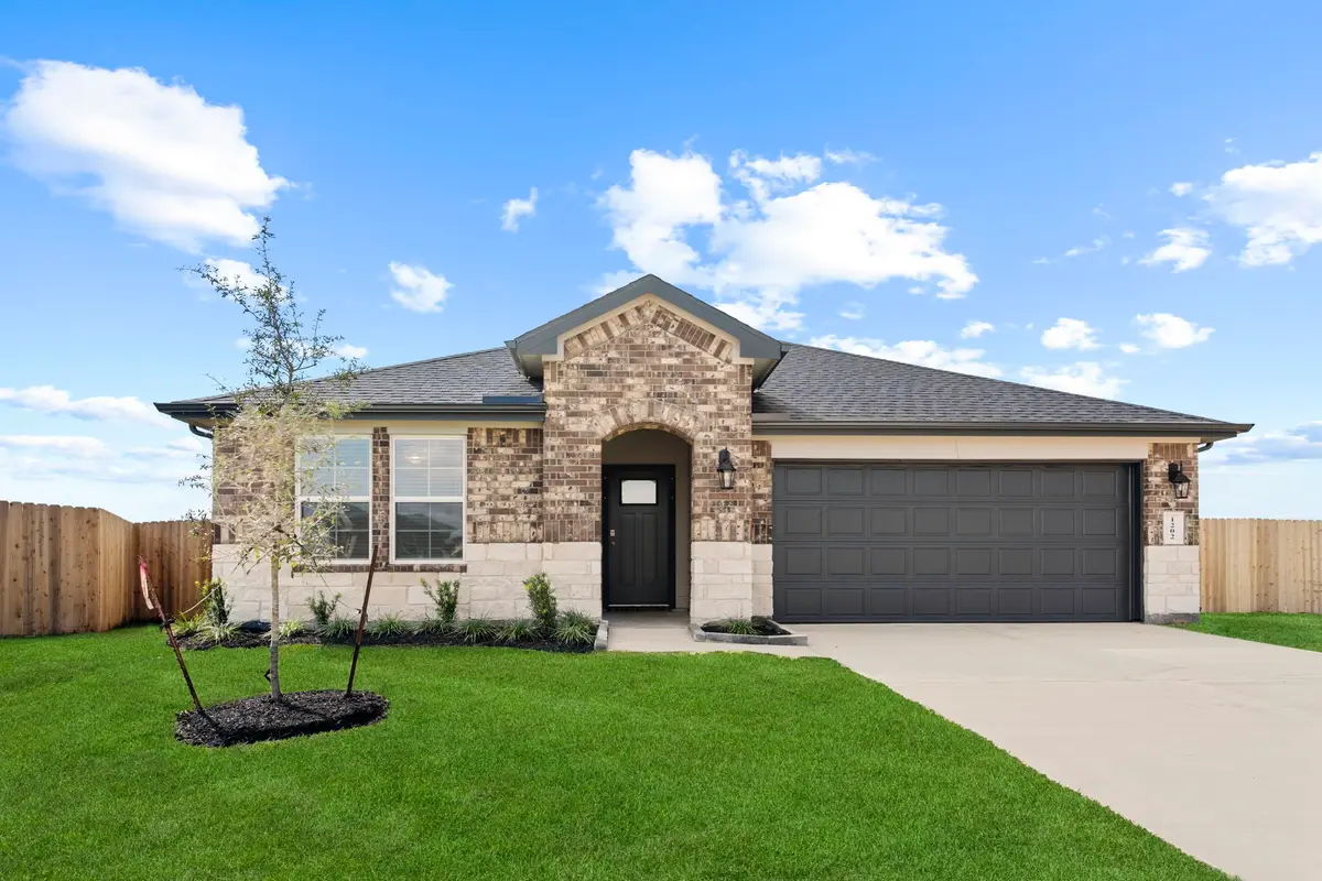 1411 Sweet Coconut Drive, Iowa Colony, TX 77583 - #1