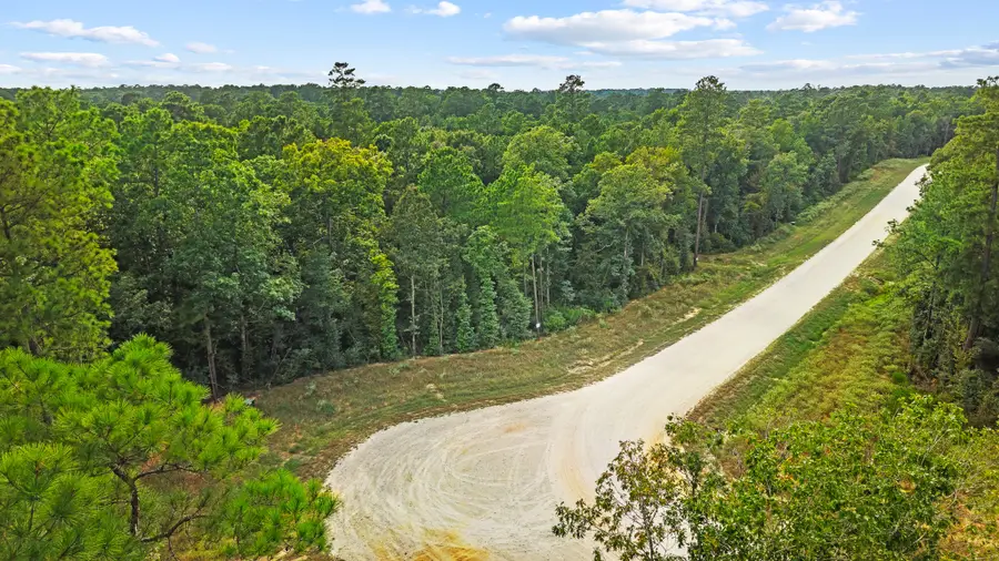 15389 Woodlife Road, Willis, TX 77378 - #2