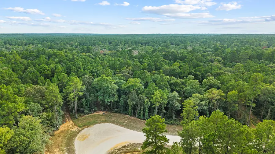 15389 Woodlife Road, Willis, TX 77378 - #3