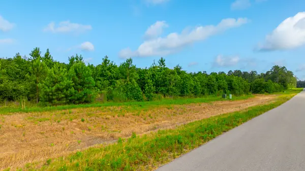 16151 Forest Mill Rd Road, Willis, TX 77378