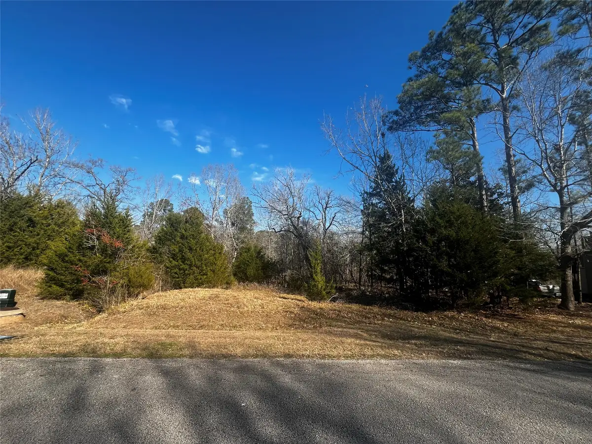 731 N Forest Cove Loop, Coldspring, TX 77331 - #1