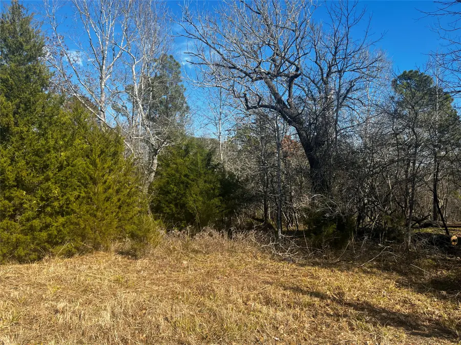 731 N Forest Cove Loop, Coldspring, TX 77331 - #3