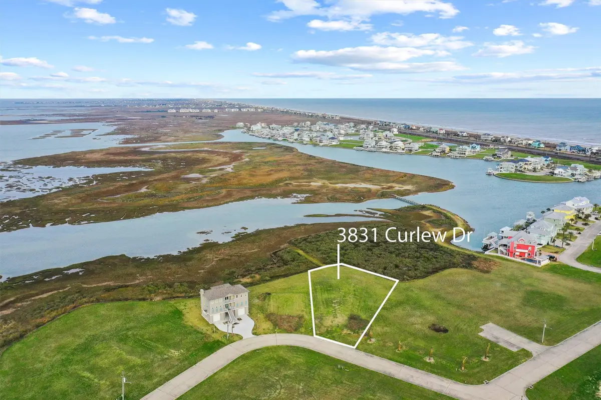 3831 Curlew Drive, Galveston, TX 77554 - #1