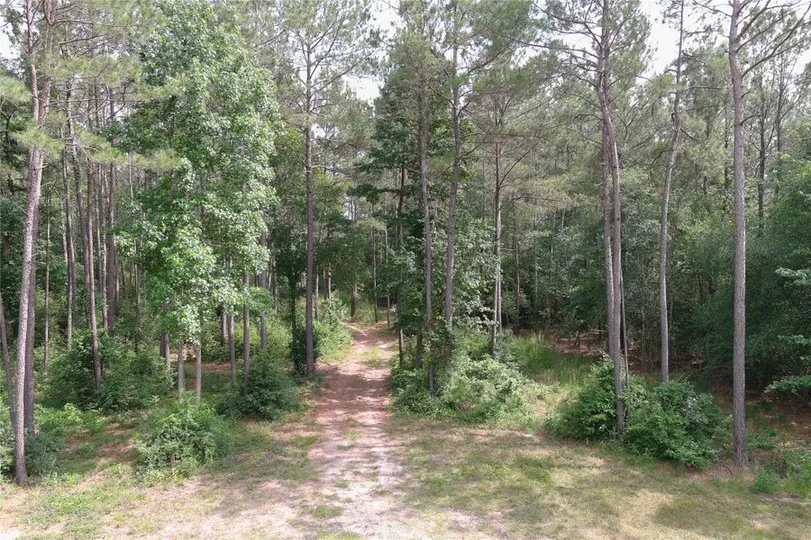 21131 Hereford Way, Cleveland, TX 77328 - #3
