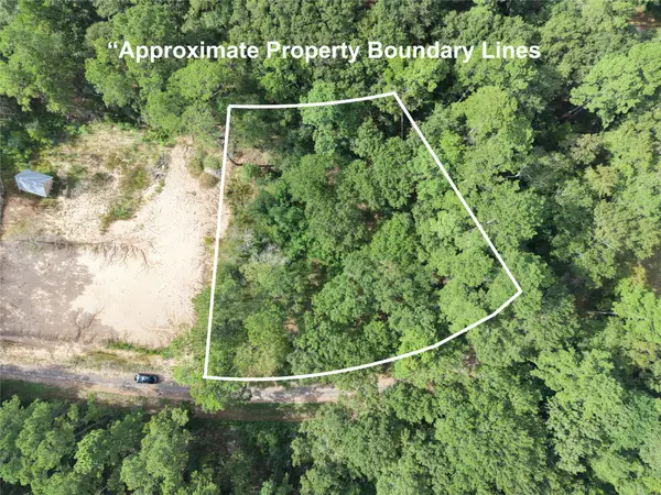 16383 Largent Drive, Plantersville, TX 77363