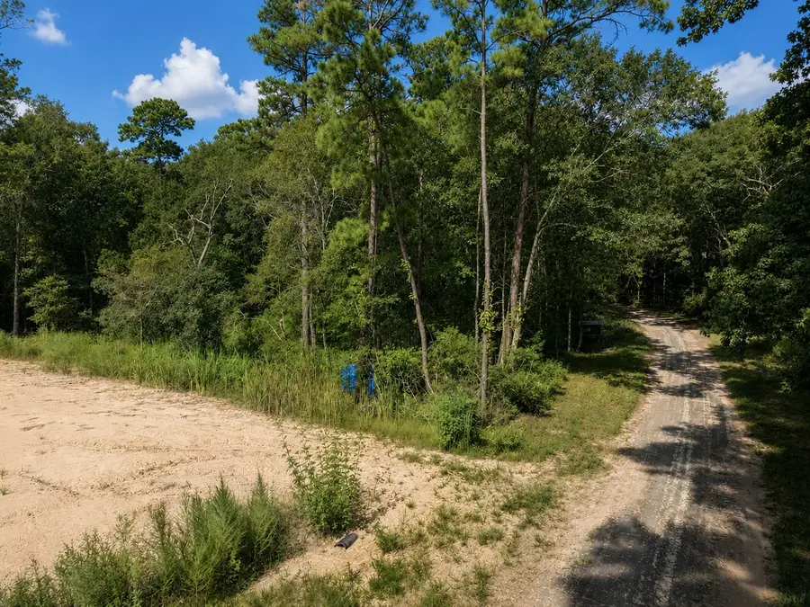 16383 Largent Drive, Plantersville, TX 77363 - #3