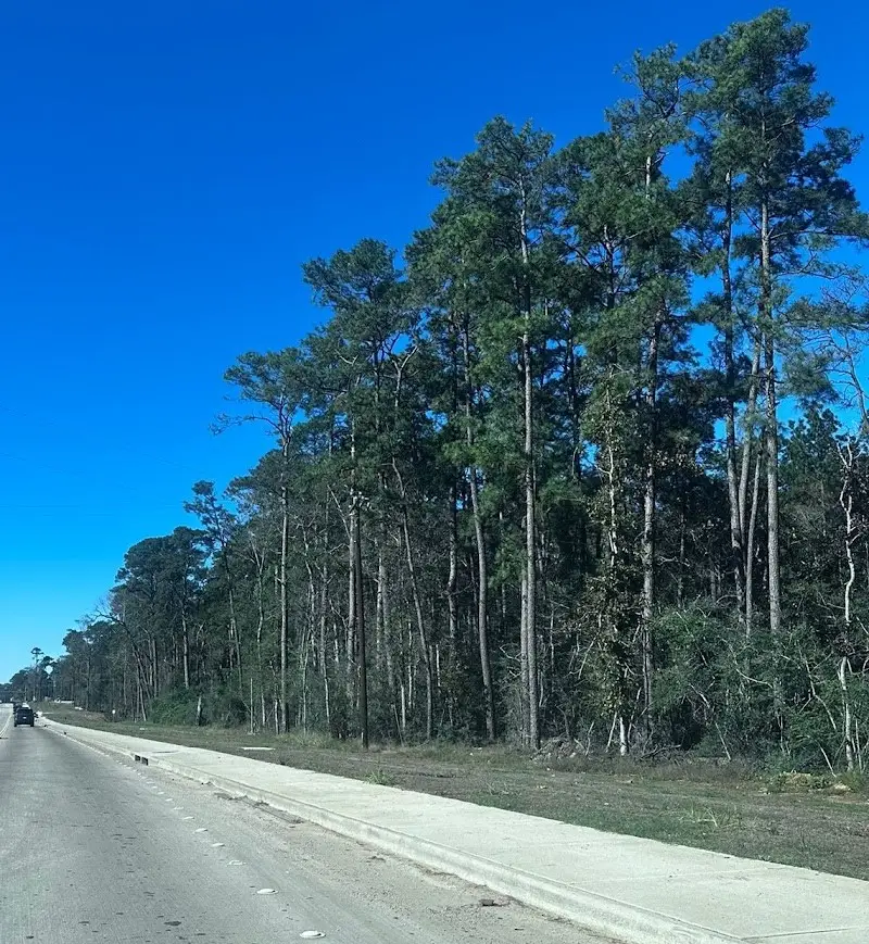 15909 Highway 105 E, Conroe, TX 77306 - Image #1