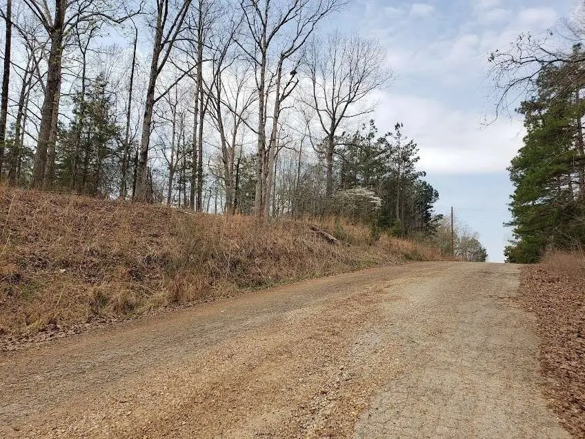 1170 Edgewood Drive, Saulsbury, TN 38067 - #1