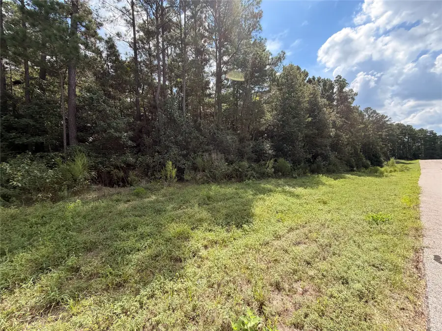 TBD Handler Road, Huntsville, TX 77340 - #2