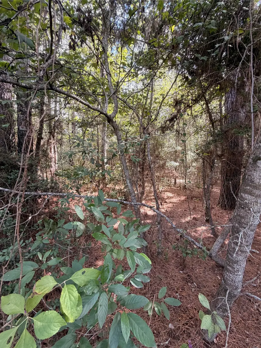 TBD Handler Road, Huntsville, TX 77340 - #3