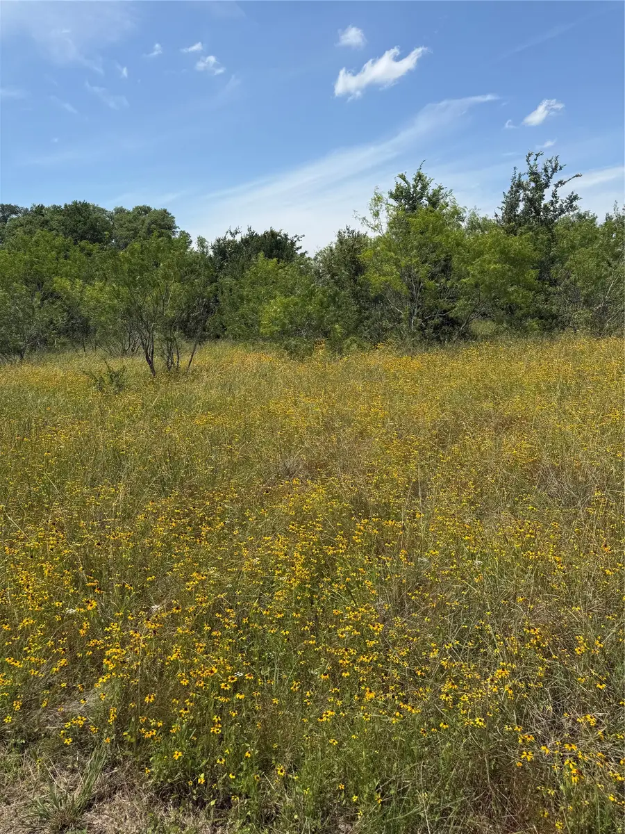 0 County Road 438, Snook, TX 77878 - #3