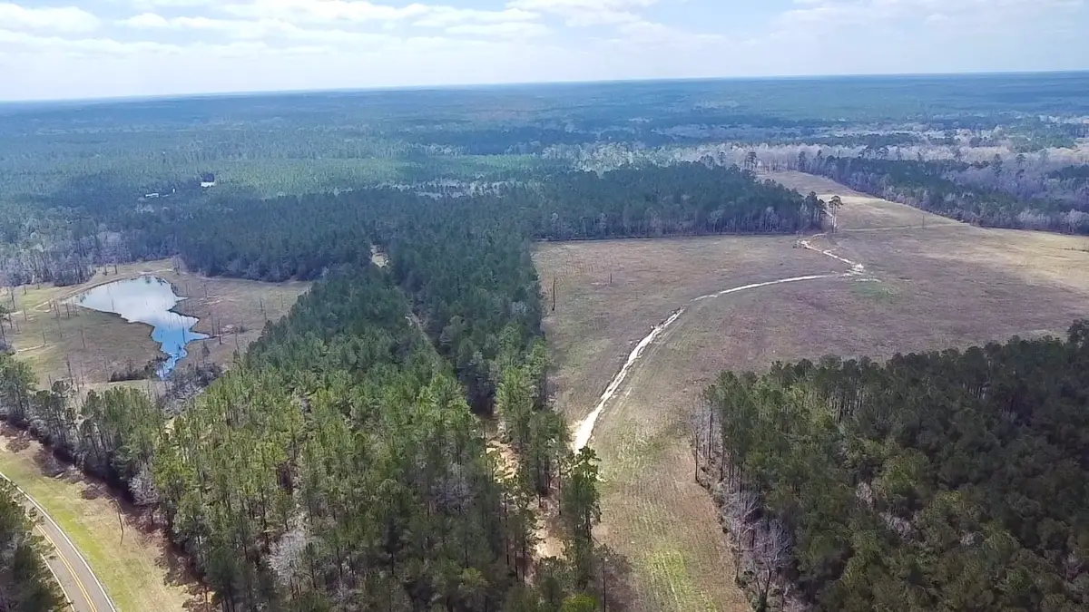 4300 Fm 256 N, Woodville, TX 75979 - #1