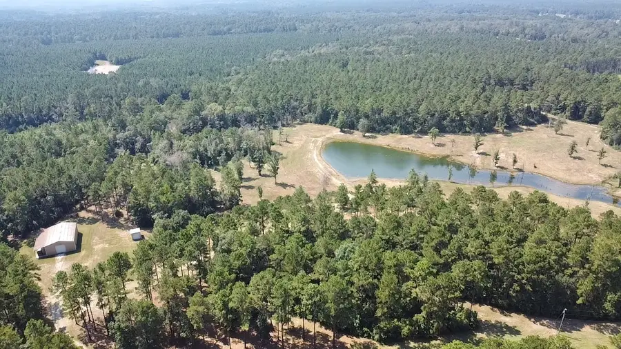 4300 Fm 256 N, Woodville, TX 75979 - #2