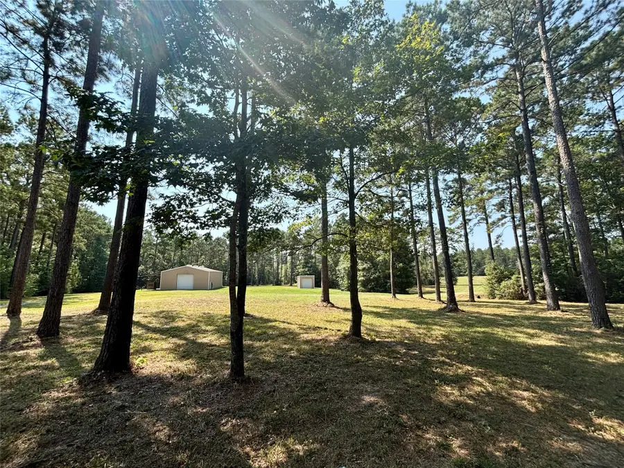 4300 Fm 256 N, Woodville, TX 75979 - #3