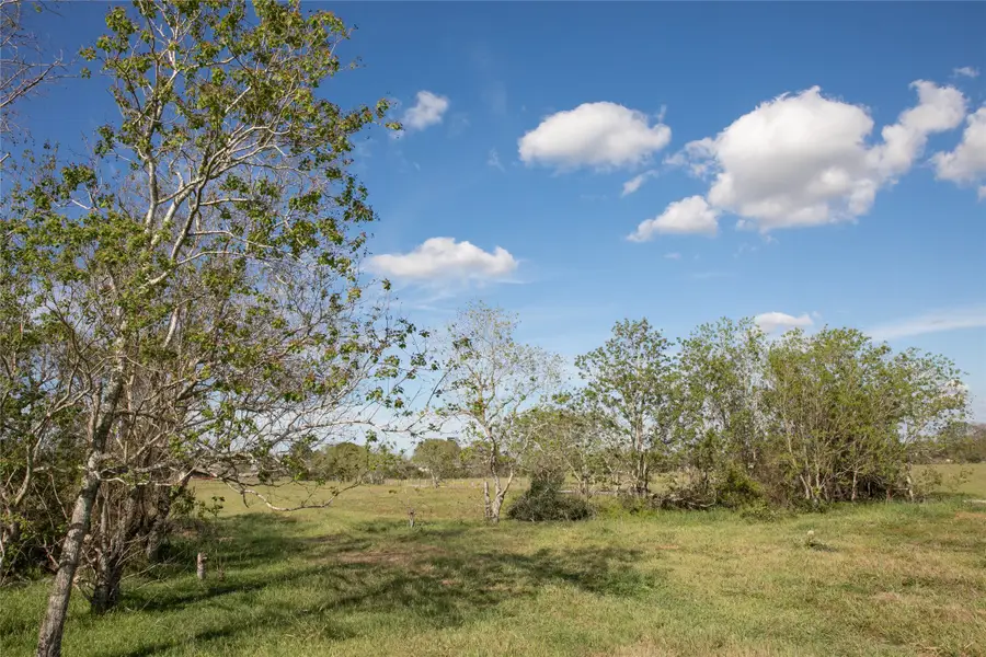 TBD Trenckmann Road, Sealy, TX 77474 - #3