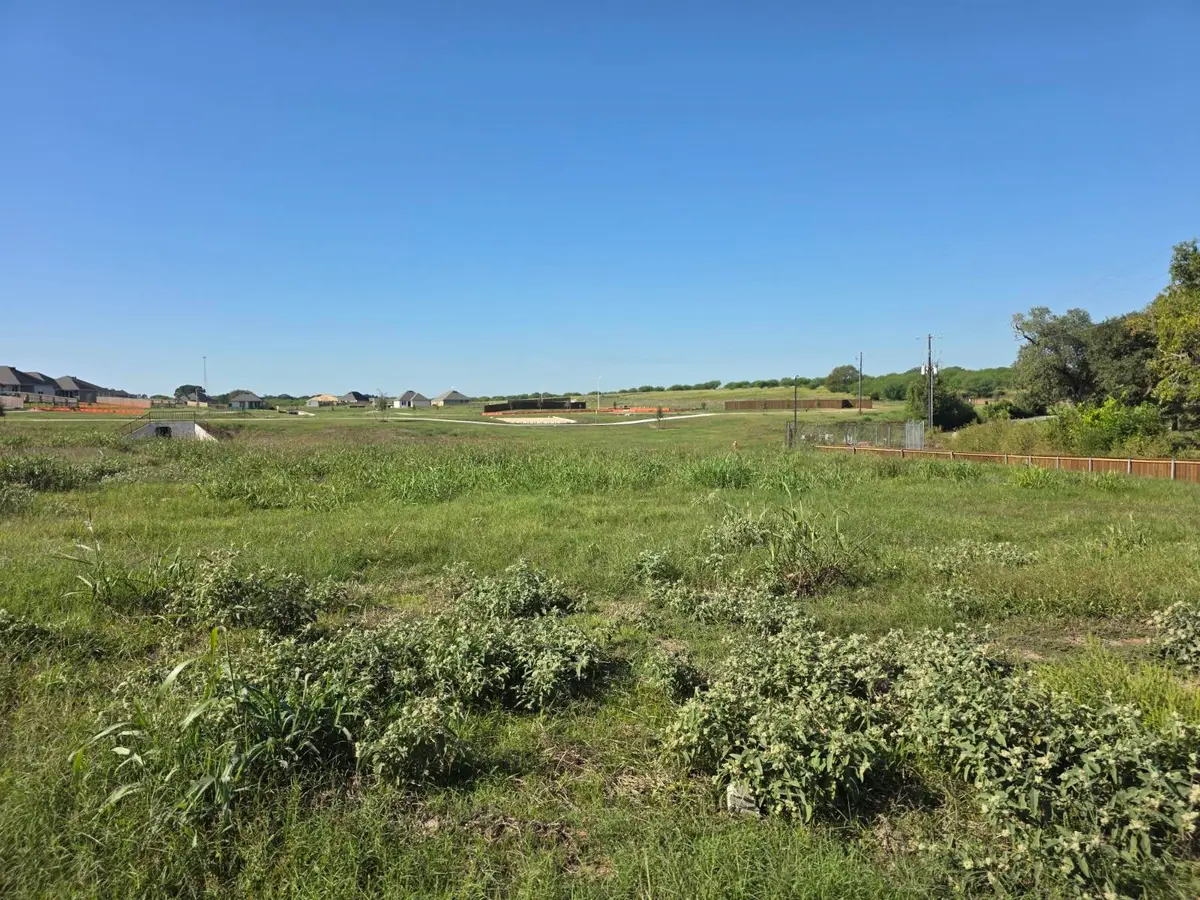 1323 Boehnke Pass, Brenham, TX 77833 - #1
