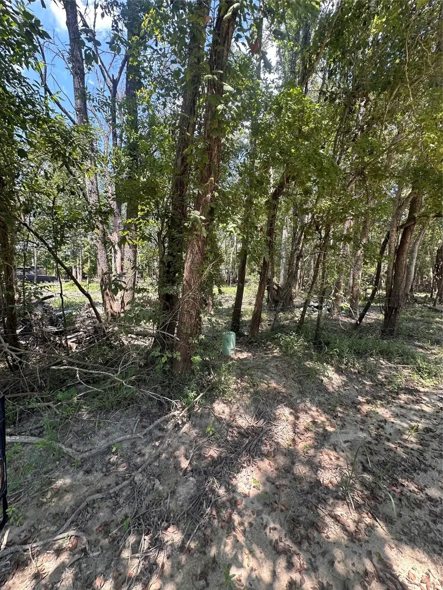 TBD Private Road 6444, Dayton, TX 77535 - #2