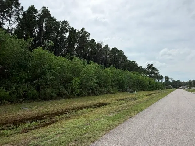 215 County Road 6614, Dayton, TX 77535 - #1