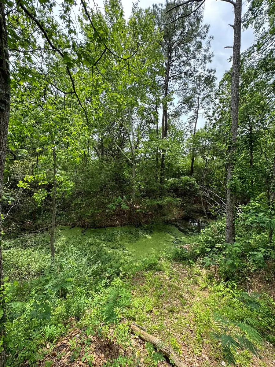 122 Barbil Lane, Huffman, TX 77336 - Image #2