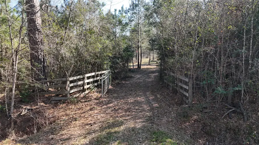 16086 Magnolia Park, Conroe, TX 77306 - #2