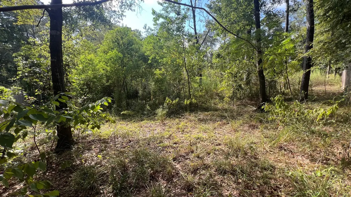 1112 Columbia River Rd, Montgomery, TX 77316 - #1