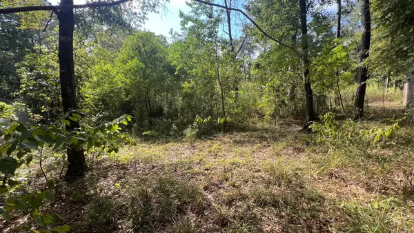1112 Columbia River Rd, Conroe, TX 77316