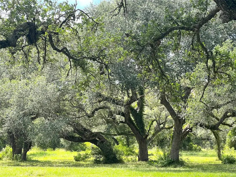 000 County Road 379, El Campo, TX 77437 - #2