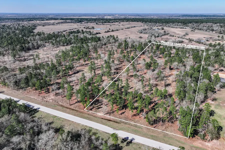 14.5 Acres Westview Drive, Huntsville, TX 77320 - #2