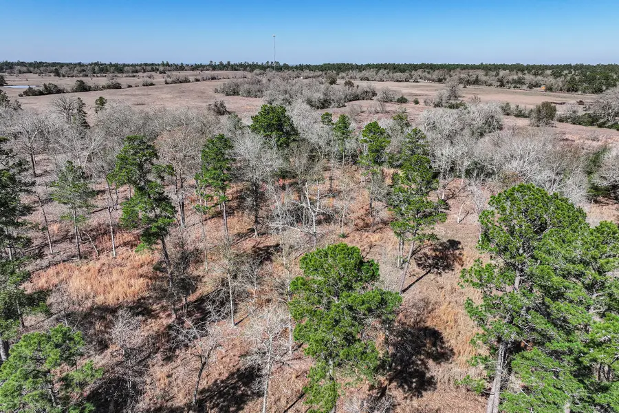 14.5 Acres Westview Drive, Huntsville, TX 77320 - #3