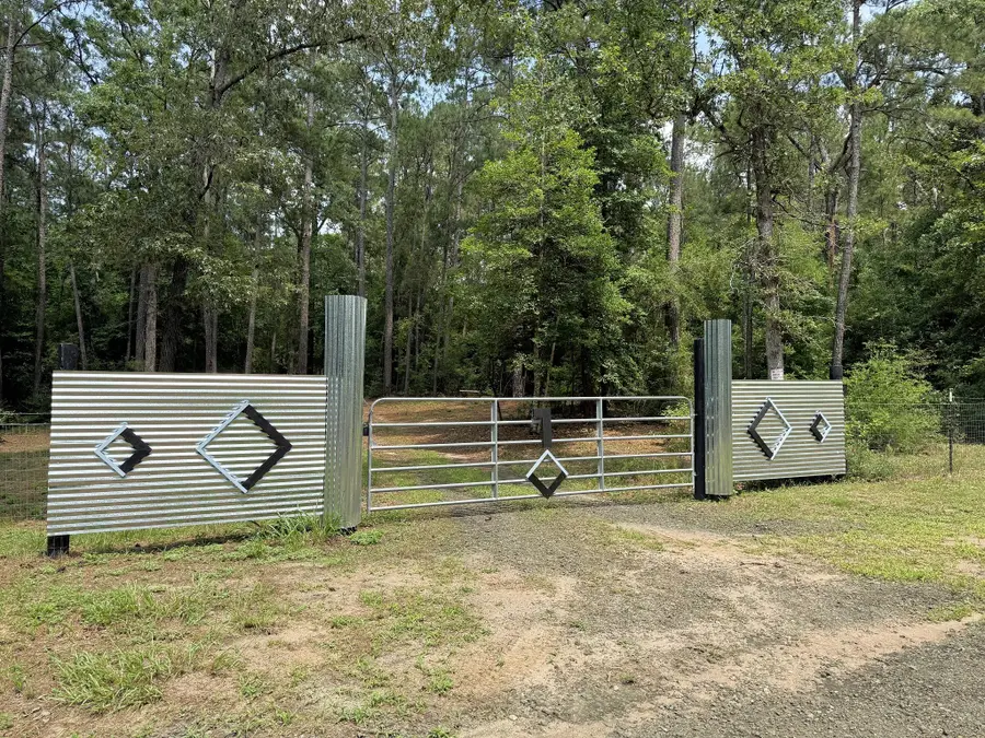 331 County Road 3240, Colmesneil, TX 75938 - #2