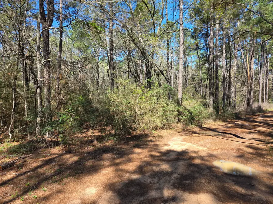 lot 20 Hackberry Drive, Plantersville, TX 77363 - #2