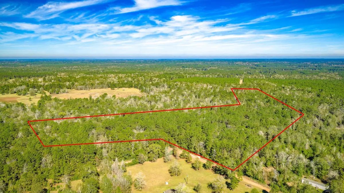 Lot 2 & 3 Portico, Livingston, TX 77351 - #1