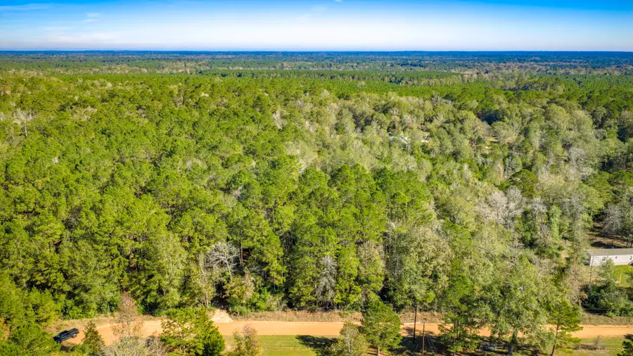 Lot 2 & 3 Portico, Livingston, TX 77351 - #2