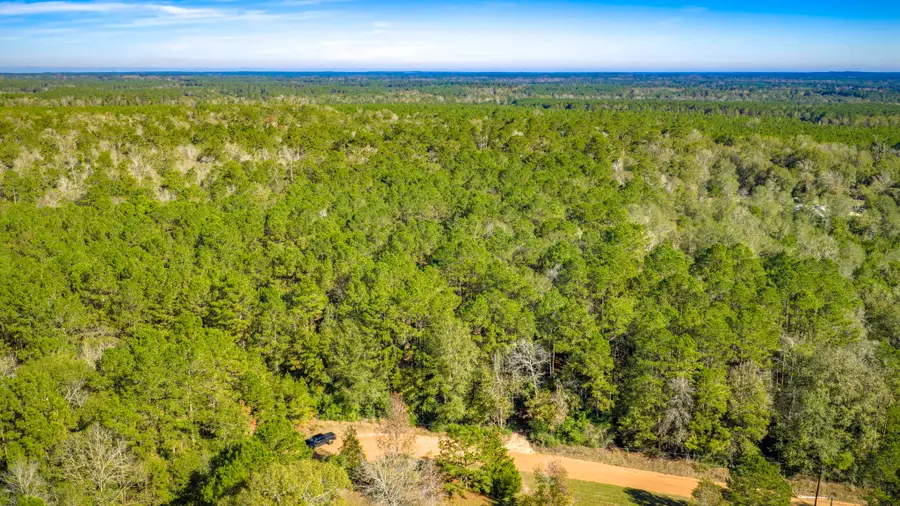 Lot 2 & 3 Portico, Livingston, TX 77351 - #3