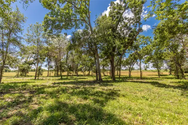 TBD Lynn Road, Chappell Hill, TX 77426